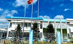 FMC: TIN VẮN HOẠT ĐỘNG THÁNG 7/2025 (CÓ HỢP NHẤT)