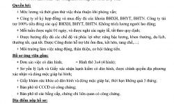 Nhà máy Thủy sản Sao Ta thông báo tuyển dụng